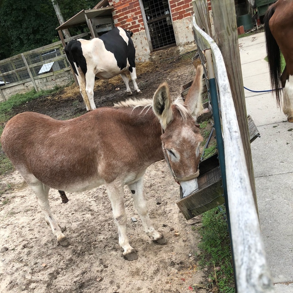 Meet your Posher, Ngbee